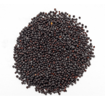 Синап Черен 120 гр | Кафяв семе | Brassica nigra (L.) 