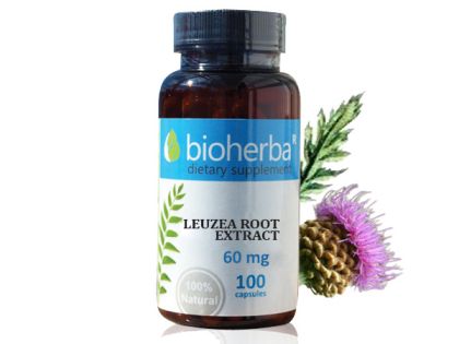 Левзея корен екстракт 60 мг | Leuzea Root Extract | Bioherba, 100 капс