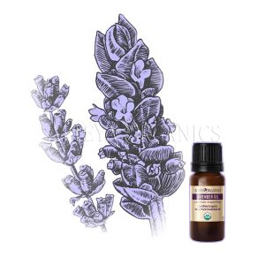 Био етерично масло Лавандула 10 мл | Lavender |  Alteya Organics 