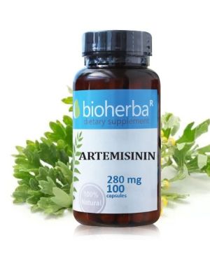 Артемизинин 280 мг | Сладък Пелин | Artemisia annua | Биохерба, 100 капс 
