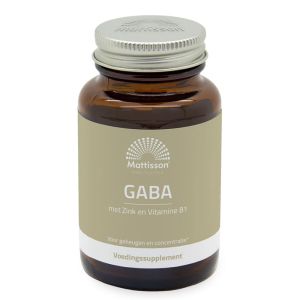 ГАБА 1000 мг + цинк и витамин В1 | Gaba met Zink en Vitamine B1 | Mattisson Healthstyle, 60 таблетки